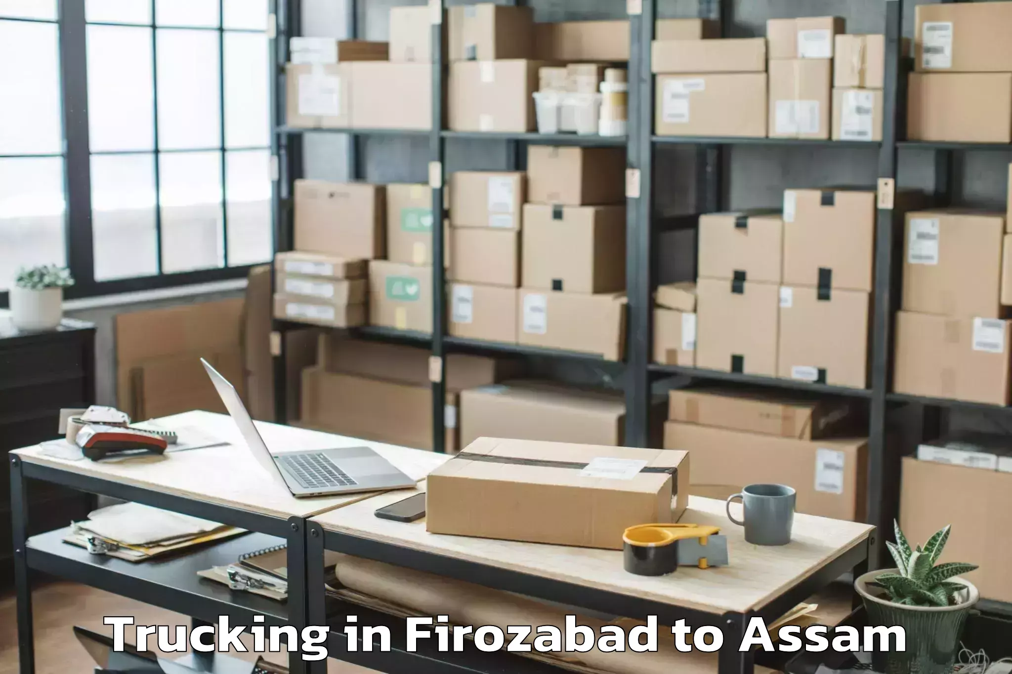 Reliable Firozabad to Hajo Trucking